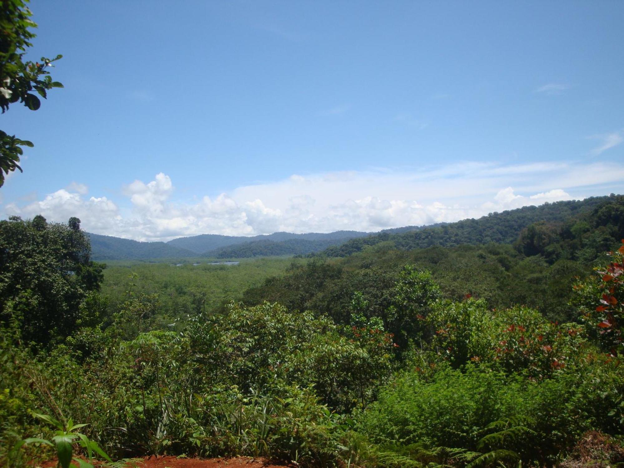 Isla Violin Eco-Lodge Drake Bay Exterior photo