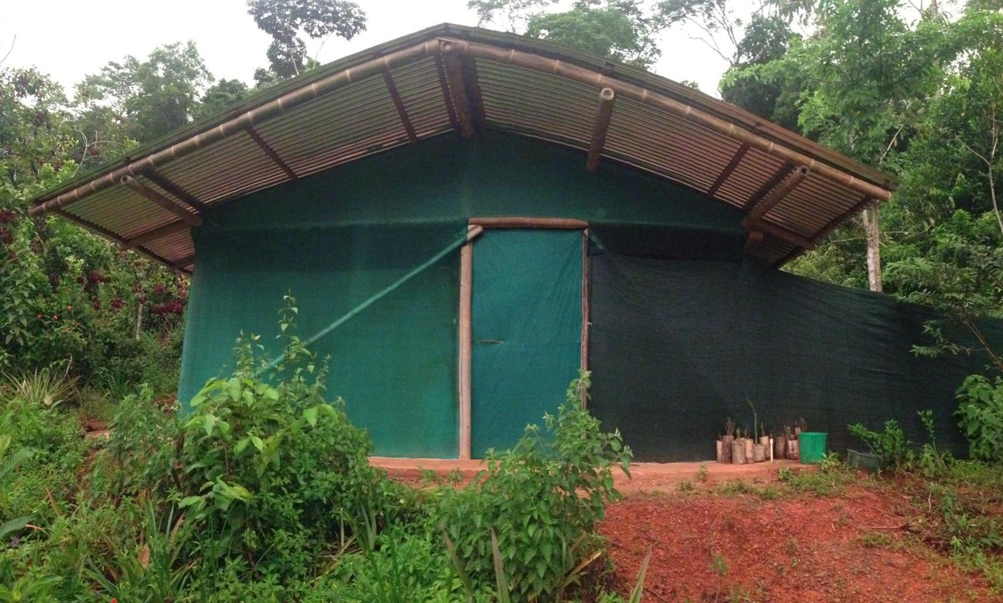 Isla Violin Eco-Lodge Drake Bay Room photo